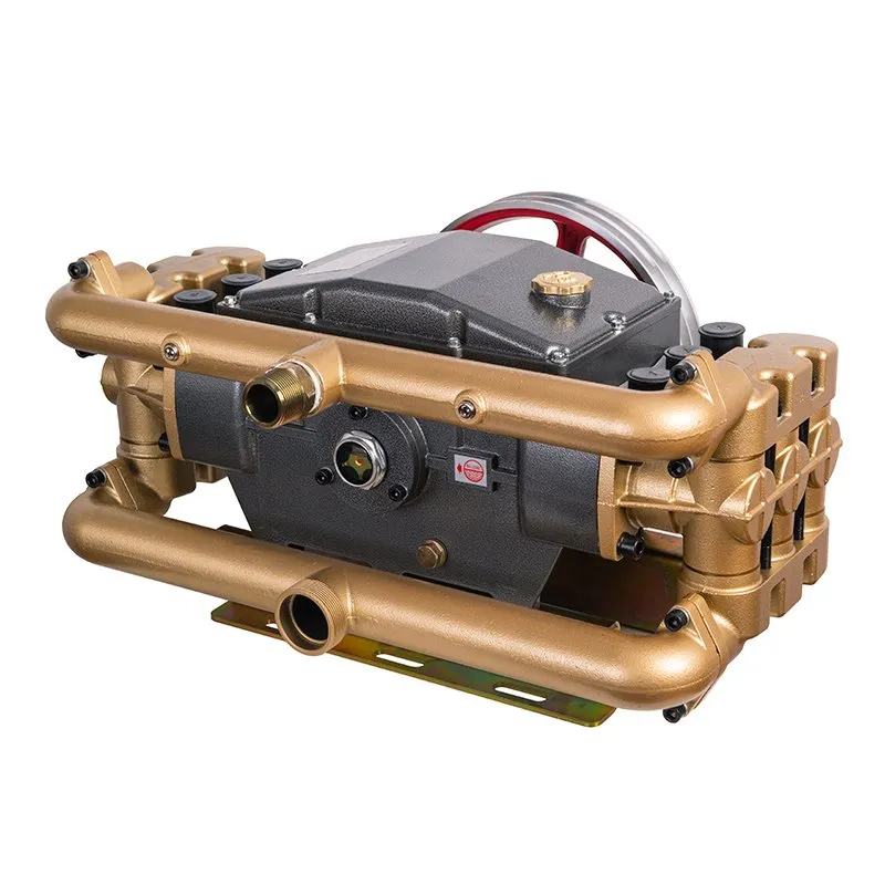 ปั๊มลูกสูบแบบสเปรย์ส่งน้ำไหลสูง-แบบพิเศษ (ลูกสูบ 6 อัน)